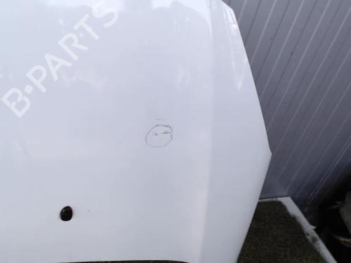 hood-citroen-ds3-sa_-16-hdi-90-7901r1-2009-2010-2011-2012-2013-2014-2015-2016-21196075 main image