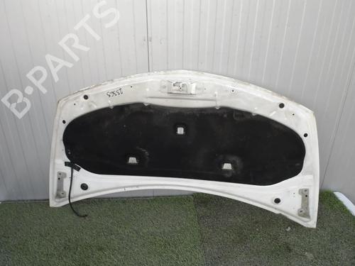 Used Hood RENAULT CLIO III (BR0/1, CR0/1) 1.5 dCi (C/BR0G, C/BR1G) (68 hp) 21856508