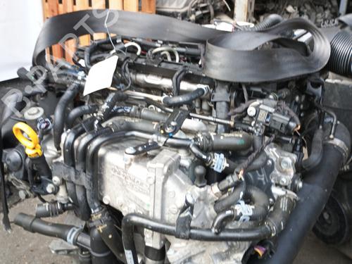 Engine VW GOLF VII (5G1, BQ1, BE1, BE2) 1.6 TDI | BP30061903M1 
