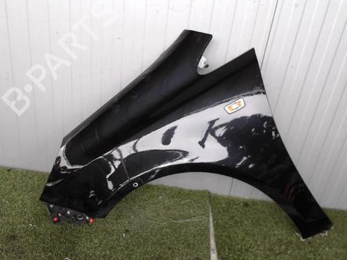 Left front fenders OPEL CORSA D (S07) 1.3 CDTI (L08, L68) | BP21143986C41 