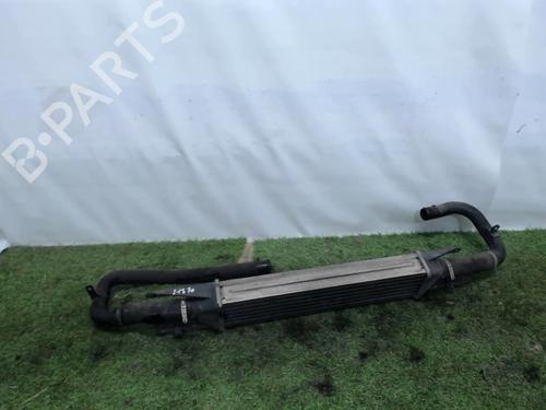 Used Intercooler ALFA ROMEO MITO (955_) 1.3 MultiJet (955AXH1B, 955AXT1A) (90 hp) 21854601