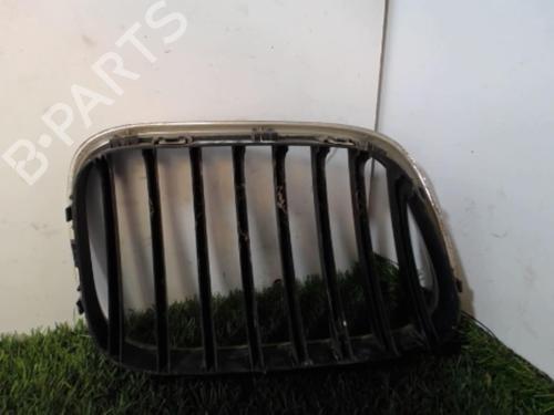 Grille BMW X5 (E53) 3.0 i | BP21854930C40 