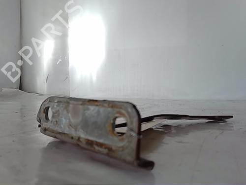 hingedoor-check-strap-dacia-sandero-ii-2012-29407069 main image