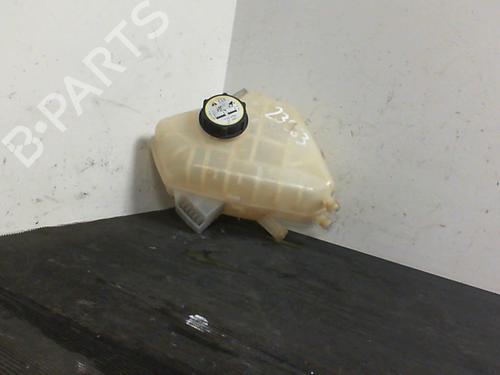 Used Expansion tank FORD FIESTA VI (CB1, CCN) 1.25 (60 hp) 21857318