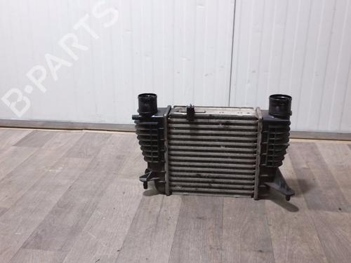 Intercooler RENAULT CLIO III (BR0/1, CR0/1) 1.5 dCi (C/BR0G, C/BR1G) | BP32387965M30 - Image 5