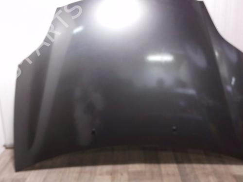 Motorhjelm FIAT BRAVO II (198_) 1.9 D Multijet (198AXB1A) (120 hp) 31977767