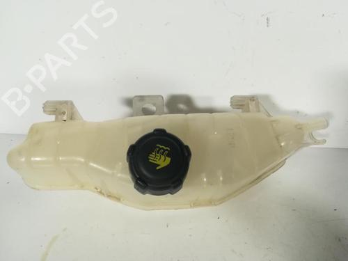 Used Expansion tank RENAULT CLIO III Grandtour (KR0/1_) 1.5 dCi (KR0F) (86 hp) 20878880