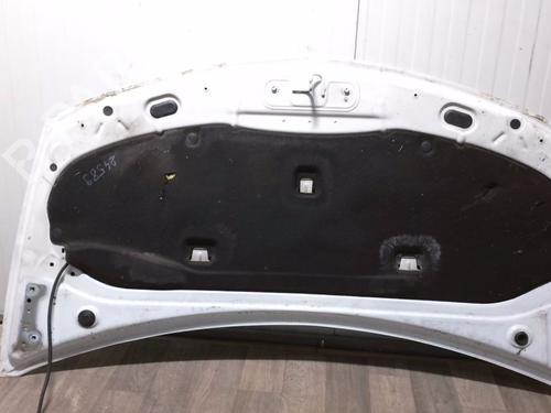 Hood RENAULT CLIO III (BR0/1, CR0/1) 1.5 dCi (C/BR0G, C/BR1G) | BP31323235C1 