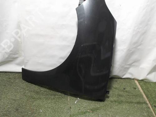 Left front fenders RENAULT SCÉNIC III (JZ0/1_) 1.5 dCi | BP22388703C41 