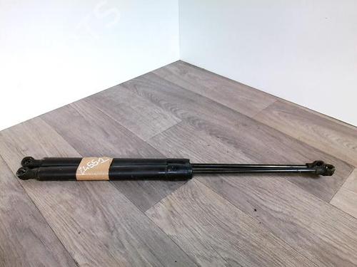 Used Tailgate lift support RENAULT ZOE (BFM_) ZOE (92 hp) 30663473