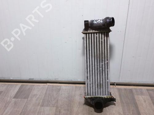 Intercooler RENAULT KANGOO Express (FW0/1_) 1.5 dCi 75 (FW07, FW10, FW04) (75 hp) 30646769