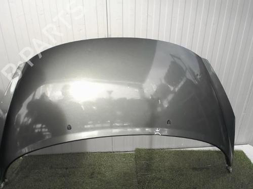 Used Hood PEUGEOT 207 (WA_, WC_) 1.6 HDi (90 hp) 21856722