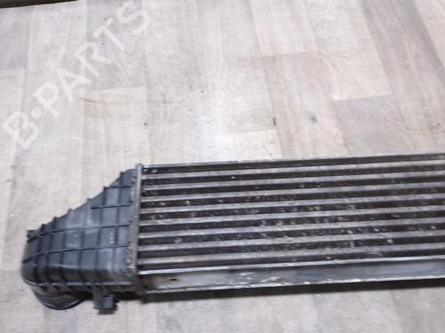 Used Intercooler Intercooler MERCEDES-BENZ C-CLASS Coupe (CL203) C 200 CDI (203.707) (122 hp) 30810724 30810724