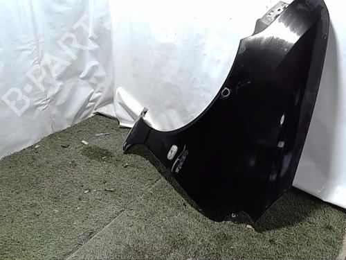 Left front fenders RENAULT TWINGO I (C06_) 1.2 16V (C06C, C06D, C06K) | BP24827196C41 