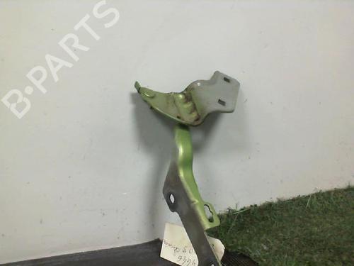 Hinge/Door check strap RENAULT CLIO III (BR0/1, CR0/1) 1.5 dCi (C/BR0G, C/BR1G) | BP28817195C146 