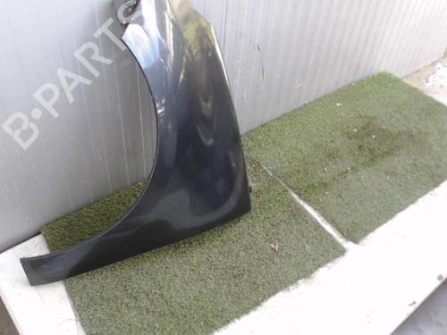 Left front fenders RENAULT SCÉNIC III (JZ0/1_) 1.5 dCi | BP21857357C41 