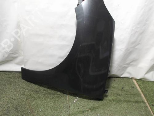 Left front fenders RENAULT SCÉNIC III (JZ0/1_) 1.5 dCi | BP22388703C41 