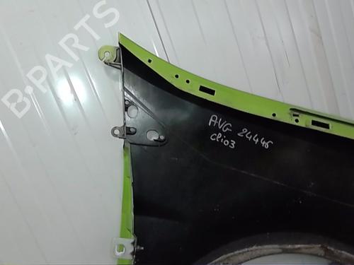 Left front fenders RENAULT CLIO III (BR0/1, CR0/1) 1.5 dCi (C/BR0G, C/BR1G) | BP28570541C41