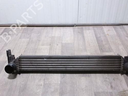 Intercooler Intercooler VW POLO V (6R1, 6C1) 1.6 TDI (90 hp) 36151298 36151298