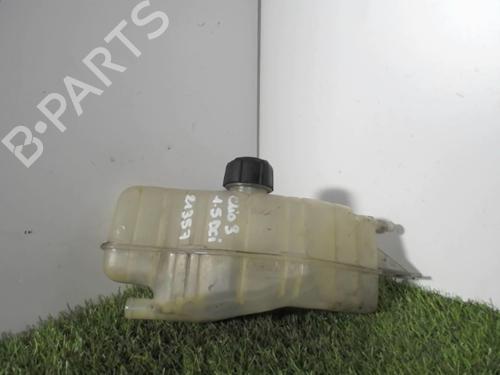 Used Expansion tank RENAULT CLIO III (BR0/1, CR0/1) 1.5 dCi (BR17, CR17) (86 hp) 21388346