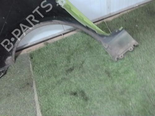 Right front fenders RENAULT CLIO III (BR0/1, CR0/1) 1.5 dCi (C/BR0G, C/BR1G) | BP28570540C42