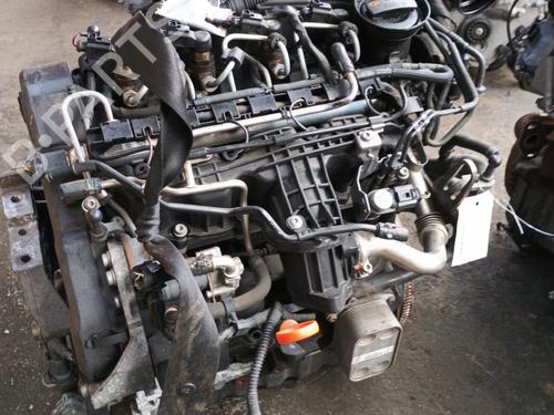 Used Engine SEAT LEON (1P1) 1.6 TDI (105 hp) 30396159