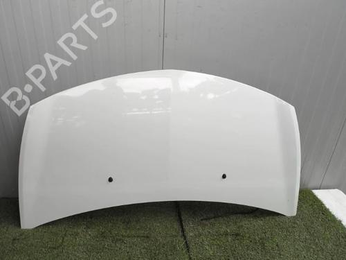 Used Hood RENAULT CLIO III (BR0/1, CR0/1) 1.5 dCi (C/BR0G, C/BR1G) (68 hp) 21856780