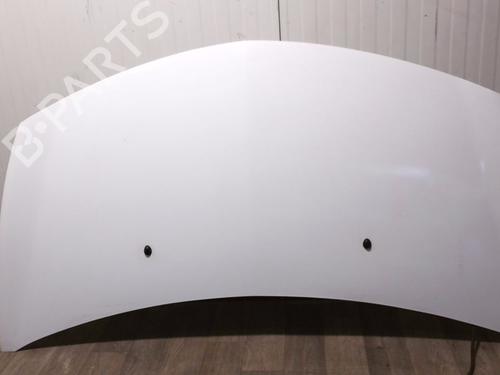 hood-renault-clio-iii-br01-cr01-2005-2006-2007-2008-2009-2010-2011-2012-2013-2014-31323235 main image