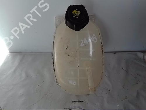 Used Expansion tank DACIA JOGGER (RK_) 1.0 TCe 100 ECO-G (RKMT) (101 hp) 29425304