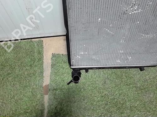 Køler AUDI A3 (8P1) 2.0 TDI 16V | BP29757276M31 