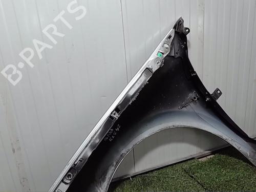 Right front fenders RENAULT MEGANE II (BM0/1_, CM0/1_) 1.6 16V | BP29120245C42 