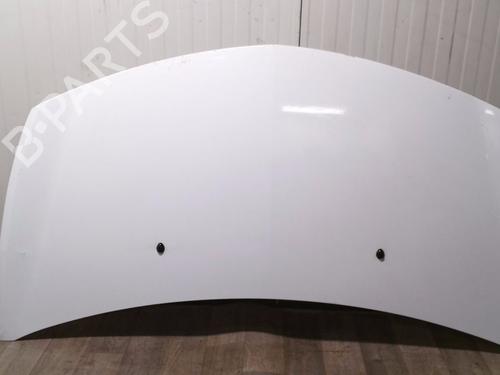 hood-renault-clio-iii-br01-cr01-2005-2006-2007-2008-2009-2010-2011-2012-2013-2014-31956808 main image