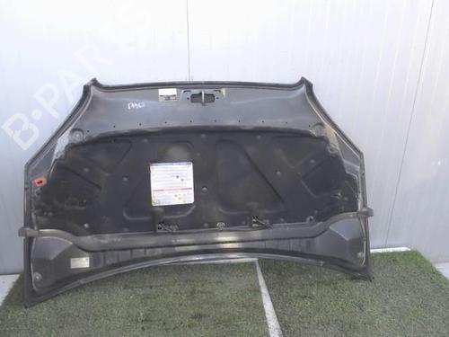 Hood FIAT DOBLO Box Body/MPV (223_) 1.9 JTD | BP21856711C1 