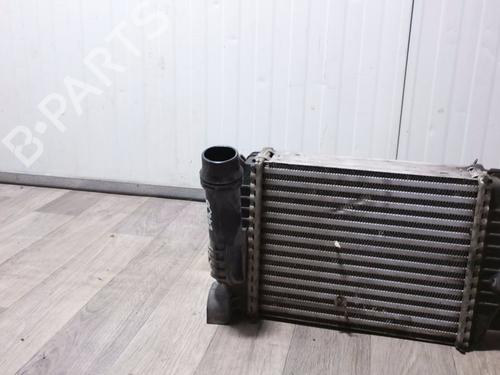 Intercooler Intercooler RENAULT CLIO IV (BH_) 1.5 dCi 90 (90 hp) 35925941 35925941