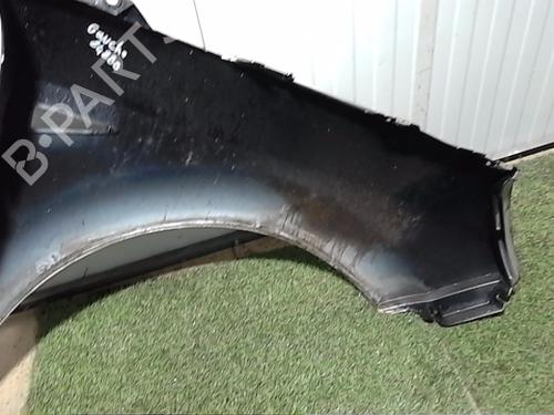 Left front fenders RENAULT SCÉNIC II (JM0/1_) 1.6 16V (JM1R) | BP29757307C41