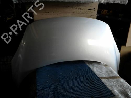 Used Hood RENAULT SCÉNIC III (JZ0/1_) 1.5 dCi (106 hp) 21389978