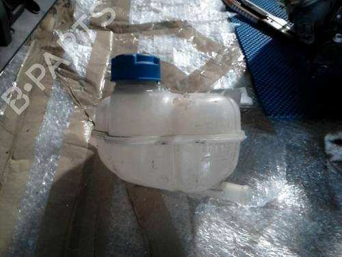 Used Expansion tank FIAT GRANDE PUNTO (199_) 1.3 D Multijet (75 hp) 21852903