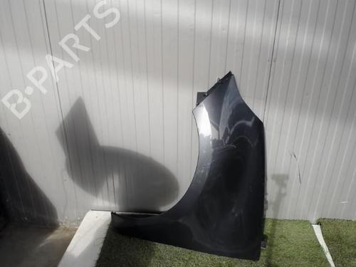 Left front fenders RENAULT SCÉNIC III (JZ0/1_) 1.5 dCi | BP21856708C41 