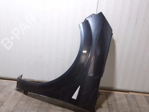 Guarda-lamas esquerdo RENAULT SCÉNIC II (JM0/1_) 1.5 dCi (JM1E, JM16) (106 hp) 33202022