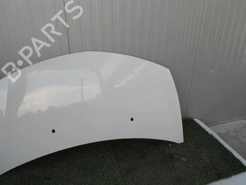 Hood RENAULT CLIO III (BR0/1, CR0/1) 1.5 dCi (C/BR0G, C/BR1G) | BP21856508C1 