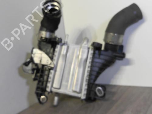 Used Intercooler Intercooler RENAULT CLIO V (B7_) 1.5 Blue dCi 85 (B7AG) (86 hp) 36467405 36467405