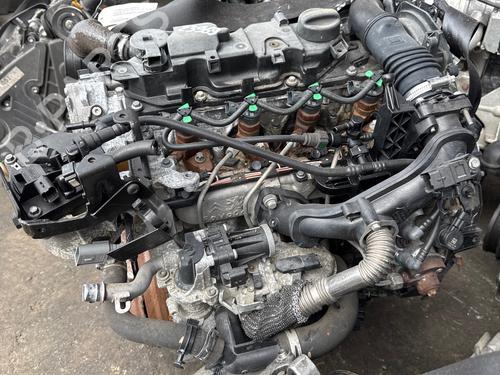 Used Engine Engine FORD FIESTA VI (CB1, CCN) 1.6 TDCi (95 hp) 36151309 36151309