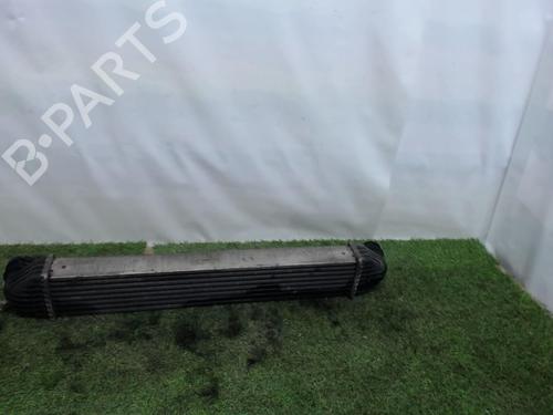 Used Intercooler RENAULT MASTER II Van (FD) 2.5 dCi 100 (FD0U, FD0V, FD3U, FD3V, FD8U, FD8V) (99 hp) 21854585