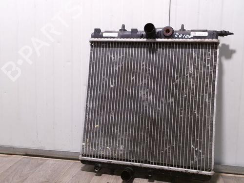 Køler PEUGEOT 206+ (2L_, 2M_) 1.4 i | BP31024985M31 