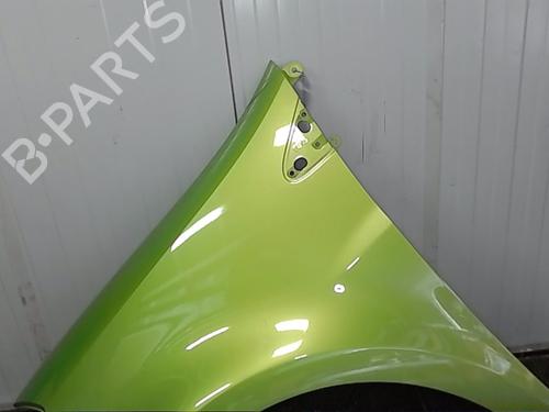 Left front fenders RENAULT CLIO III (BR0/1, CR0/1) 1.5 dCi (C/BR0G, C/BR1G) | BP28570541C41
