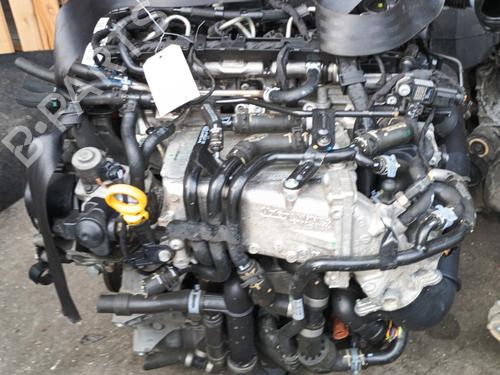 Engine VW GOLF VII (5G1, BQ1, BE1, BE2) 1.6 TDI | BP30061903M1 