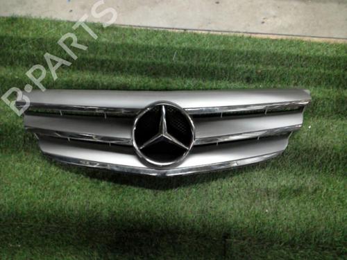 Used Grille MERCEDES-BENZ B-CLASS Sports Tourer (W245) B 200 CDI (245.208) (140 hp) 21854336