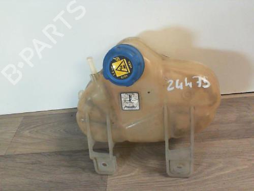 Used Expansion tank FIAT GRANDE PUNTO (199_) 1.3 D Multijet (75 hp) 30396143
