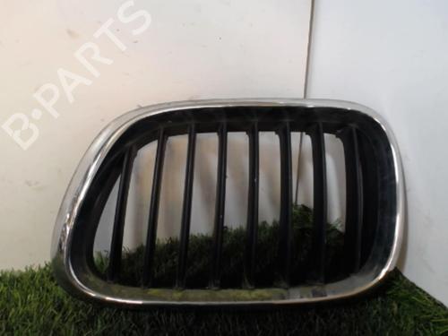 Gitter für BMW X5 (E53) 3.0 i (231 hp) 21854930