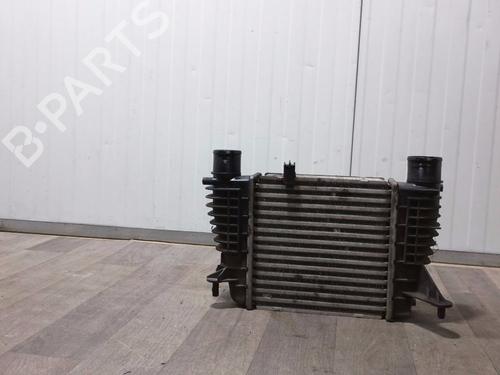 Used Intercooler Intercooler RENAULT CLIO III (BR0/1, CR0/1) 1.5 dCi (C/BR0G, C/BR1G) (68 hp) 32387965 32387965